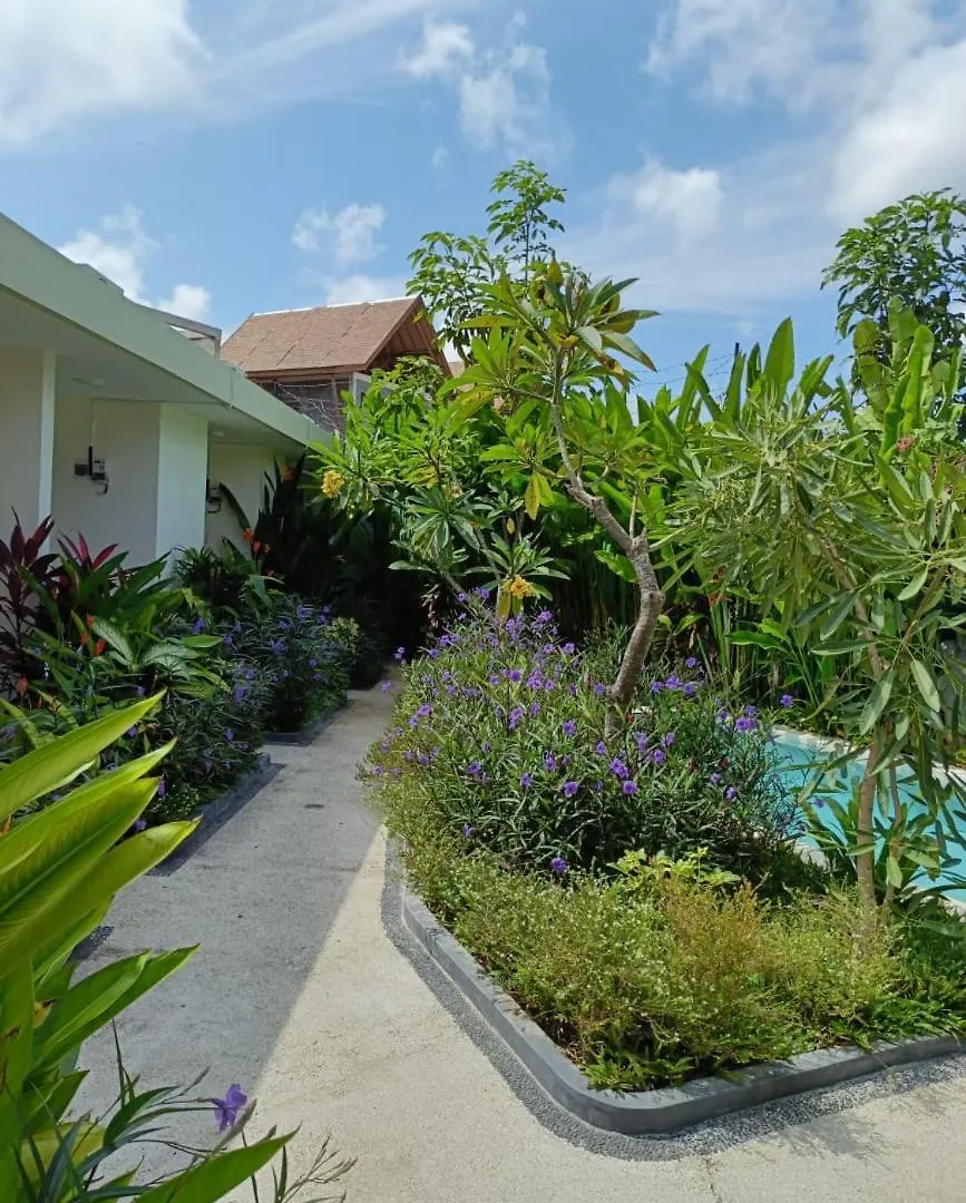 Guest house Mora Residence Jimbaran