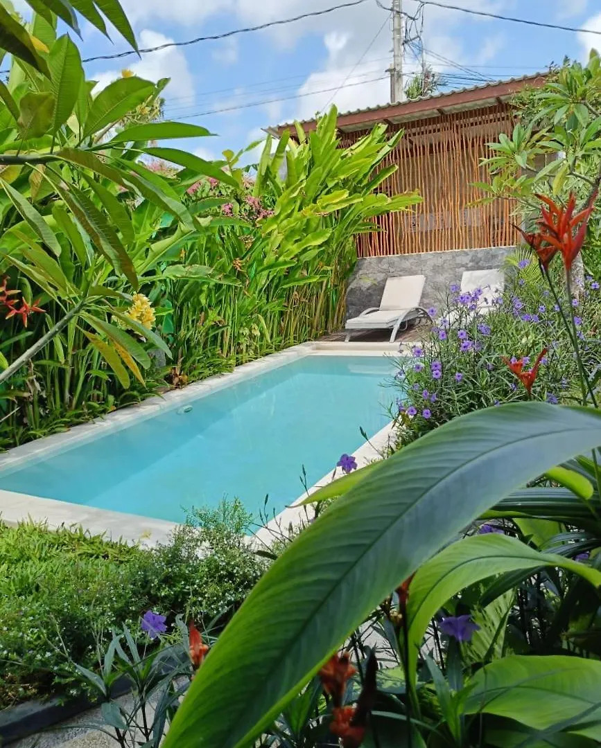 Guest house Mora Residence Jimbaran  Indonesia